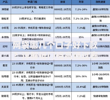 网袋哪几个口子好下款？详解低门槛高通过率的平台选择