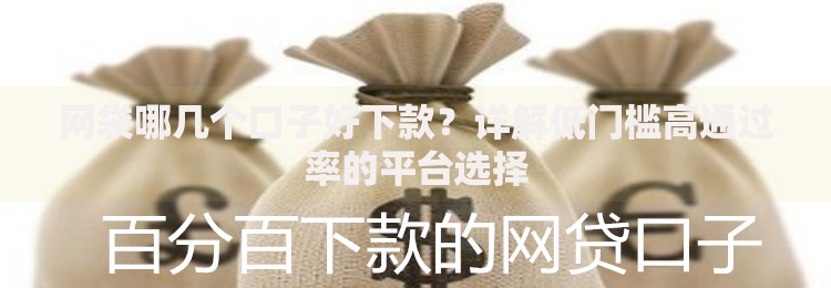 网袋哪几个口子好下款？详解低门槛高通过率的平台选择