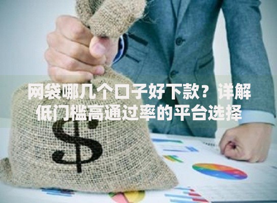 网袋哪几个口子好下款？详解低门槛高通过率的平台选择
