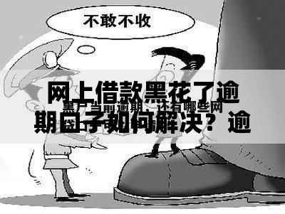 网上借款黑花了逾期口子如何解决？逾期风险与应对策略