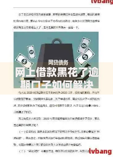 网上借款黑花了逾期口子如何解决？逾期风险与应对策略