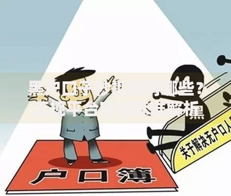 黑户口子秒批都有哪些？正规平台审核标准解析