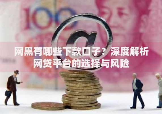 网黑有哪些下款口子？深度解析网贷平台的选择与风险