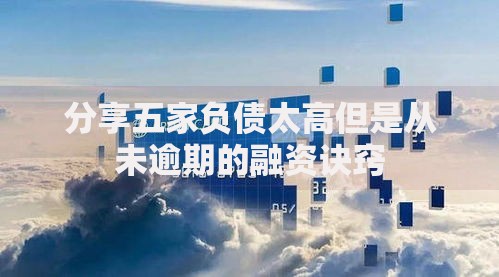 分享五家负债太高但是从未逾期的融资诀窍