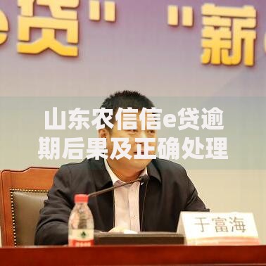 山东农信信e贷逾期后果及正确处理办法,如何协商还款方案? 山东农信信e贷逾期后果及正确处理办法,如何协商还款方案?