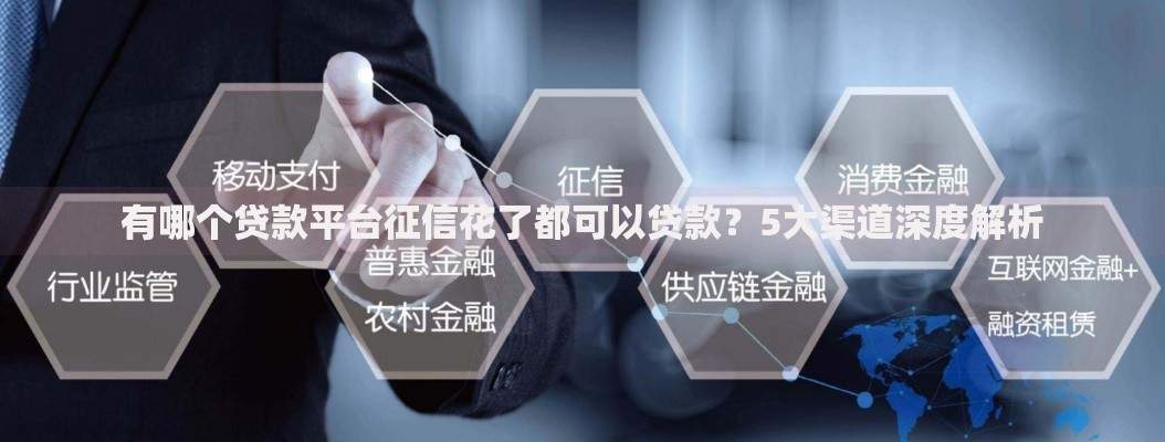 有哪个贷款平台征信花了都可以贷款？5大渠道深度解析