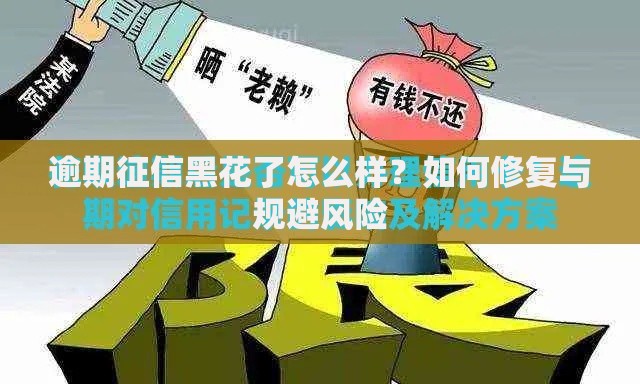 逾期征信黑花了怎么样？如何修复与规避风险