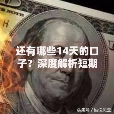 还有哪些14天的口子？深度解析短期贷款产品选择