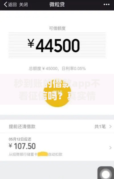 秒到账的借款app不看征信吗？真实情况深度解析