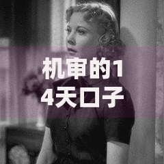 机审的14天口子有哪些？正规平台解析与申请指南