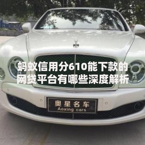蚂蚁信用分610能下款的网贷平台有哪些深度解析