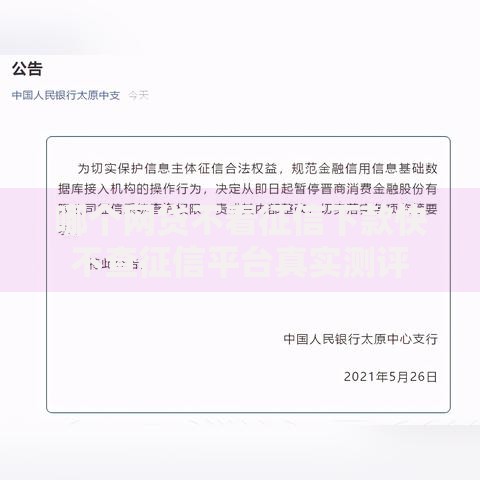 哪个网贷不看征信下款快不查征信平台真实测评
