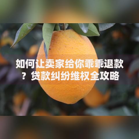 如何让卖家给你乖乖退款？贷款纠纷维权全攻略