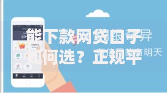 能下款网贷口子如何选？正规平台申请流程全解析