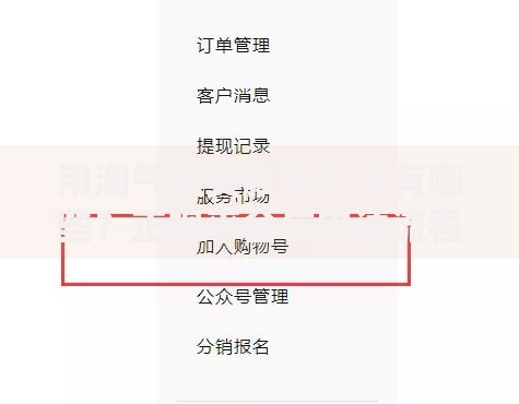 用淘气值贷款的口子有哪些？正规平台与申请流程解析