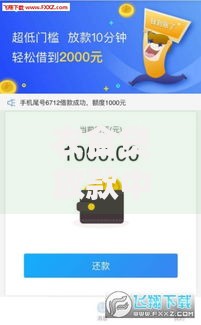 衣食贷放款中稳吗？解析平台风险与资金安全策略