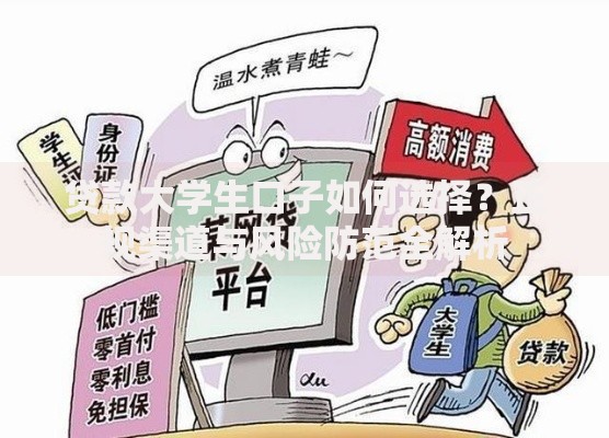 贷款大学生口子如何选择？正规渠道与风险防范全解析