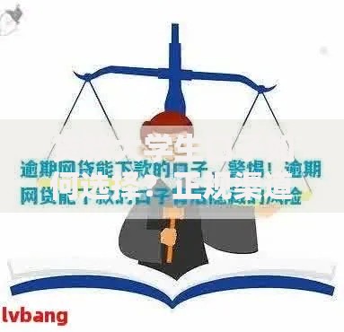贷款大学生口子如何选择？正规渠道与风险防范全解析