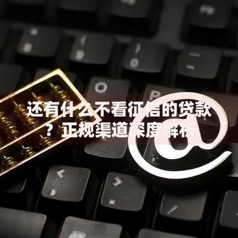 还有什么不看征信的贷款？正规渠道深度解析