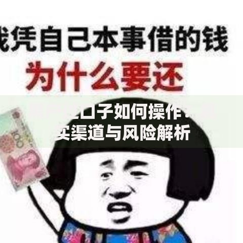 黑户过口子如何操作？真实渠道与风险解析