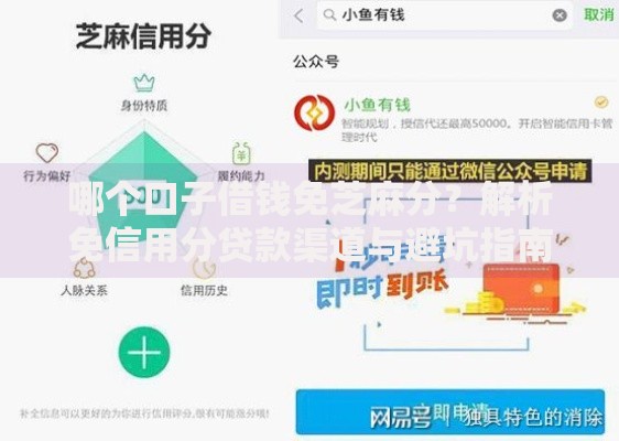 哪个口子借钱免芝麻分？解析免信用分贷款渠道与避坑指南