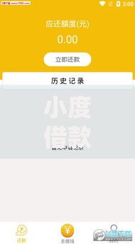 小度借款查了额度怎么取消？详细操作与注意事项解析