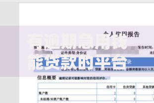 有逾期急用钱能贷款的平台如何申请？低门槛方案解析