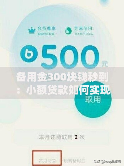 备用金300块钱秒到：小额贷款如何实现快速到账？