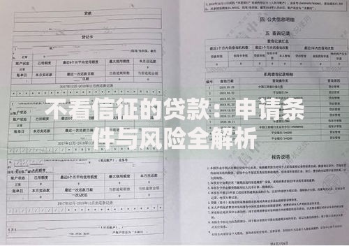 不看信征的贷款：申请条件与风险全解析