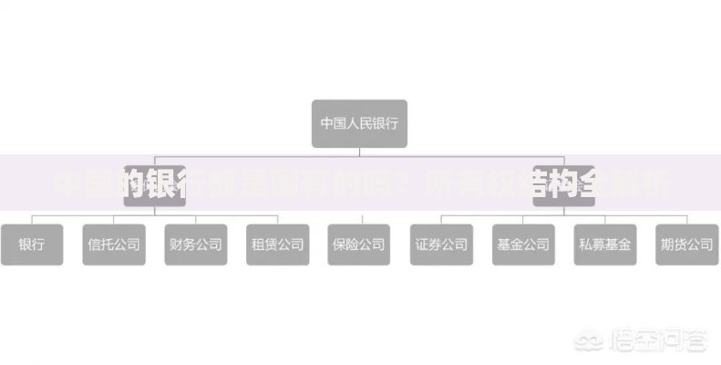 中国的银行都是国有的吗？所有权结构全解析