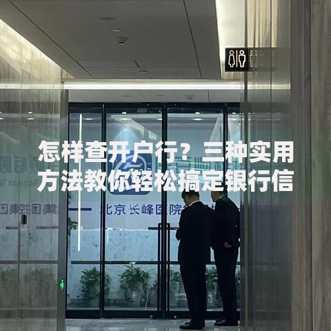 怎样查开户行？三种实用方法教你轻松搞定银行信息