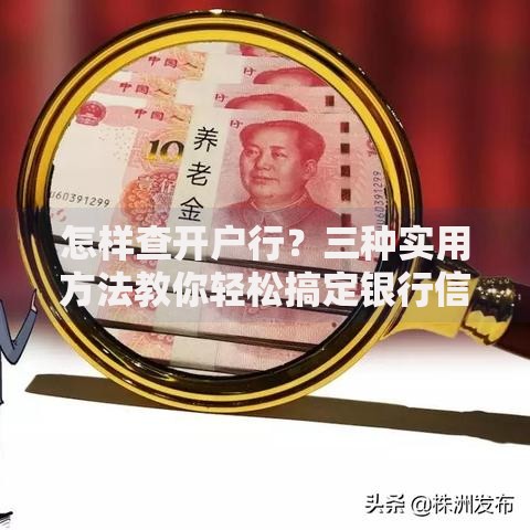 怎样查开户行？三种实用方法教你轻松搞定银行信息
