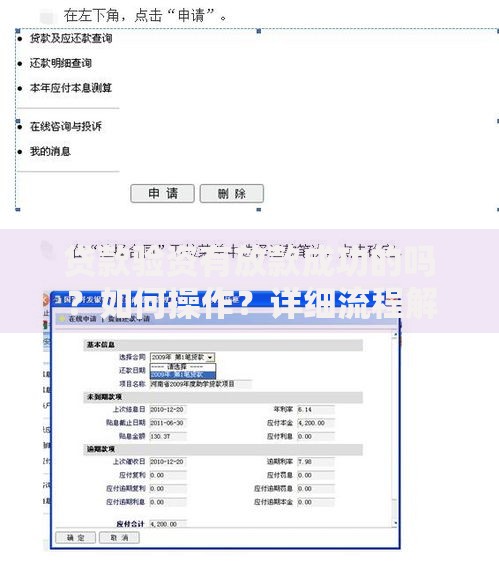 贷款验资有放款成功的吗？如何操作？详细流程解析