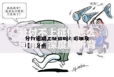 分付不上征信怎么回事？深度解析背后逻辑与影响