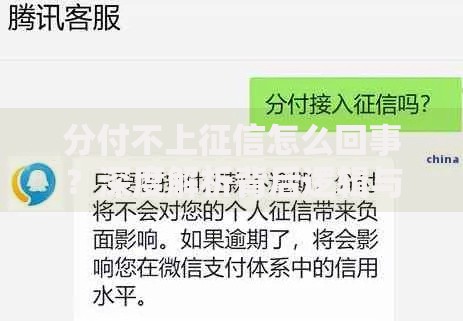 分付不上征信怎么回事？深度解析背后逻辑与影响