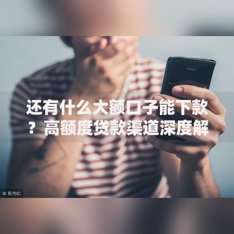 还有什么大额口子能下款？高额度贷款渠道深度解析