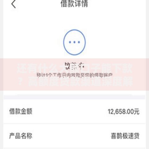 还有什么大额口子能下款？高额度贷款渠道深度解析