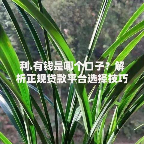 利.有钱是哪个口子？解析正规贷款平台选择技巧