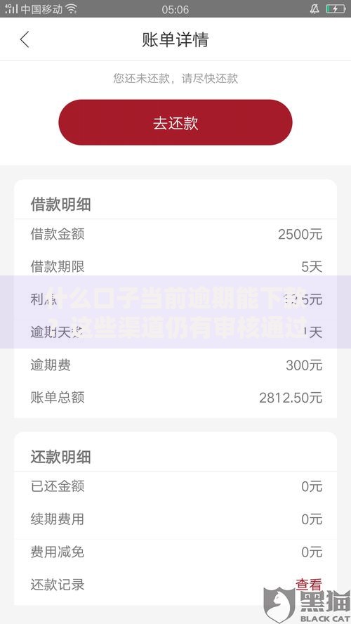 什么口子当前逾期能下款？这些渠道仍有审核通过案例