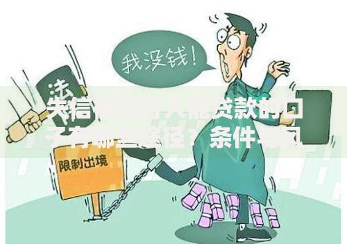失信被执行人能贷款的口子有哪些途径？条件与风险全解析