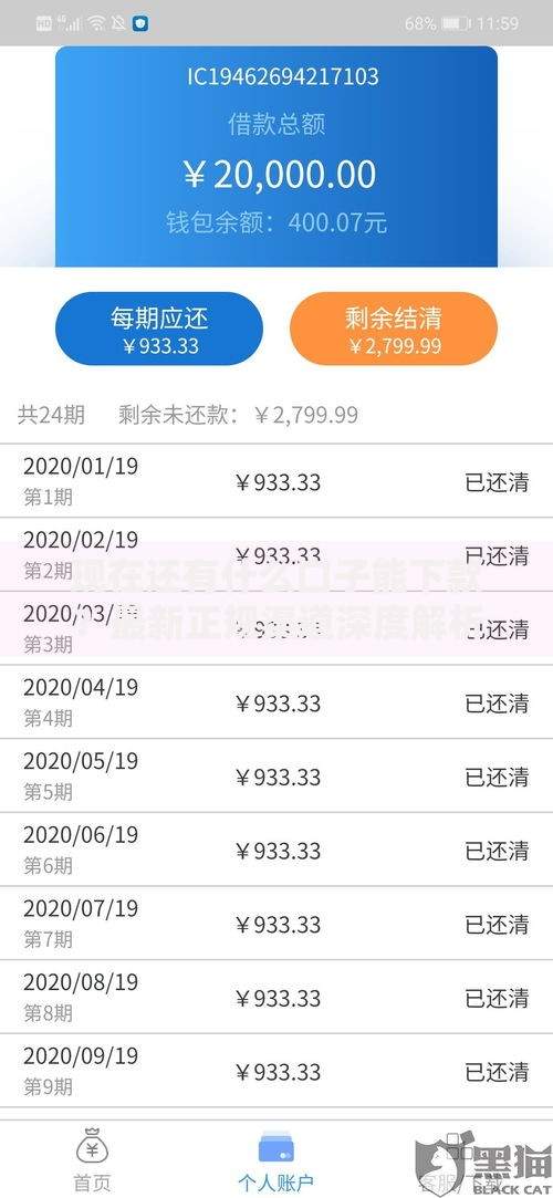 现在还有什么口子能下款？最新正规渠道深度解析