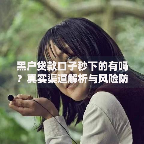 黑户贷款口子秒下的有吗？真实渠道解析与风险防范指南