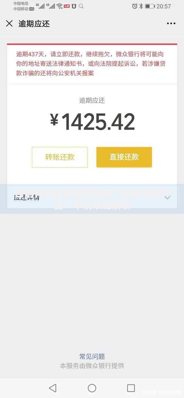 目前有哪些逾期能快速下款的贷款产品？申请攻略解析