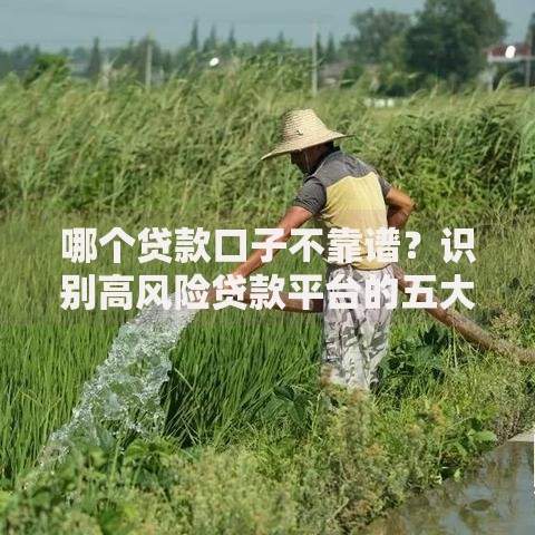 哪个贷款口子不靠谱？识别高风险贷款平台的五大特征