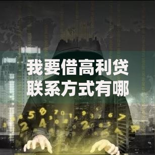 我要借高利贷联系方式有哪些风险？如何应对法律纠纷