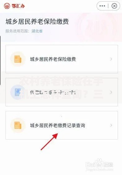 农村养老保险在手机上怎样查询？三步搞定缴费记录和待遇明细