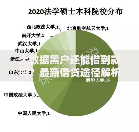 大数据黑户还能借到款吗？最新借贷途径解析