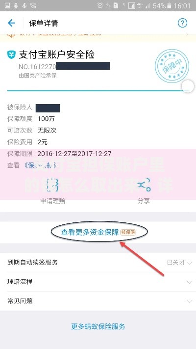 支付宝担保账户里的钱怎么取出来？详细步骤与常见问题解答