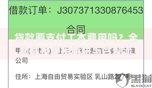 贷款要支付工本费用吗？全面解析费用陷阱与合规流程