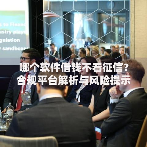 哪个软件借钱不看征信？合规平台解析与风险提示